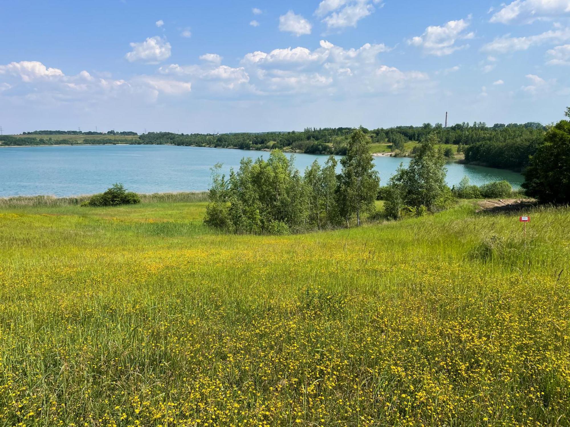 Haus Im Schilf 1 - Ferienwohnungen Am Hainer See Bei Leipzig ノイキエリッチュ エクステリア 写真