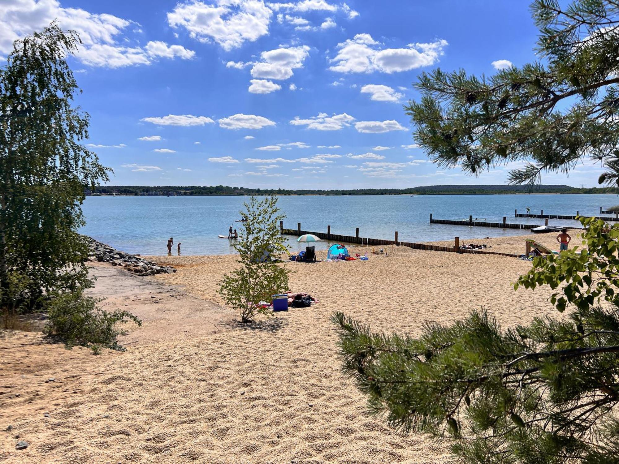 Haus Im Schilf 1 - Ferienwohnungen Am Hainer See Bei Leipzig ノイキエリッチュ エクステリア 写真